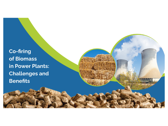 biomass-power-plant